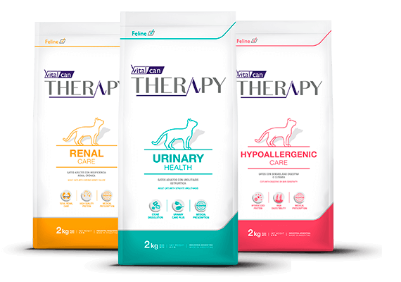 Vitalcan Therapy Gatos