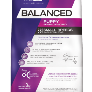 Balanced perro cachorro pequeño