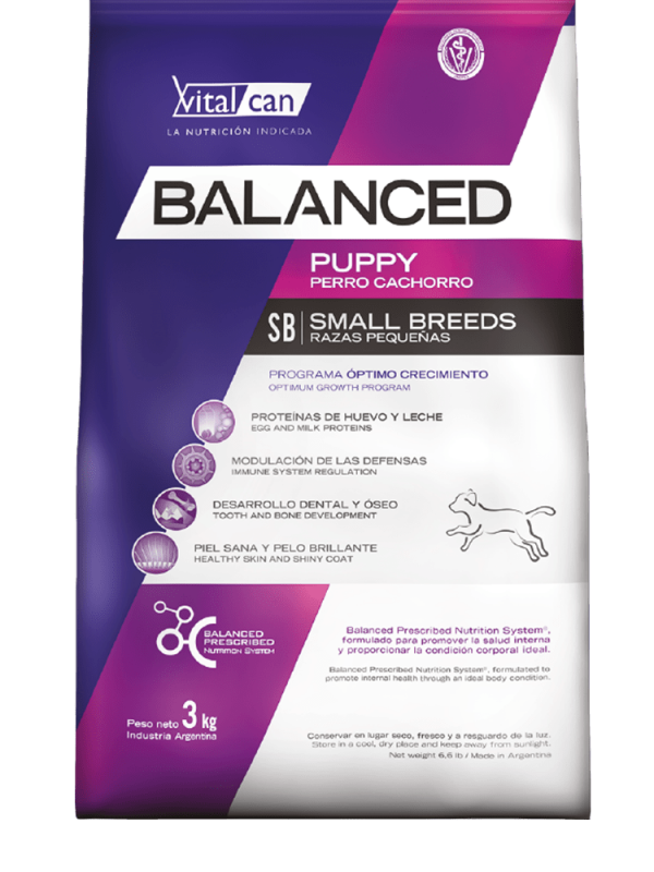 Balanced perro cachorro pequeño