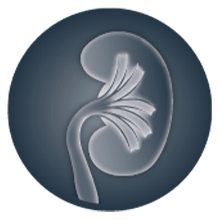 Salud renal