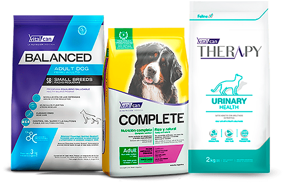 Calidad Vitalcan envases