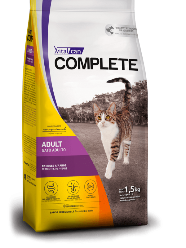 Complete gato adulto