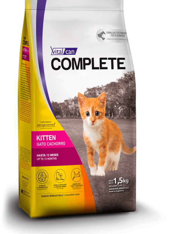 Complete gato cachorro