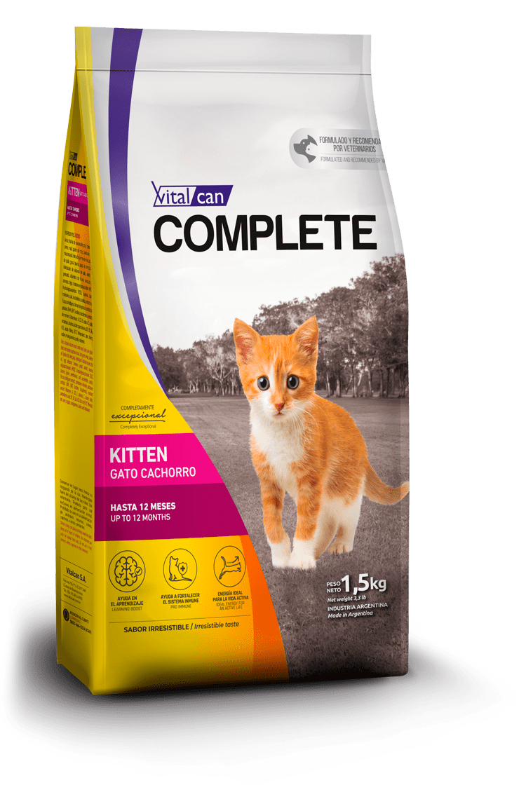 Complete gato cachorro Complete gato cachorro