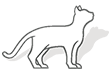 Linea therapy gato