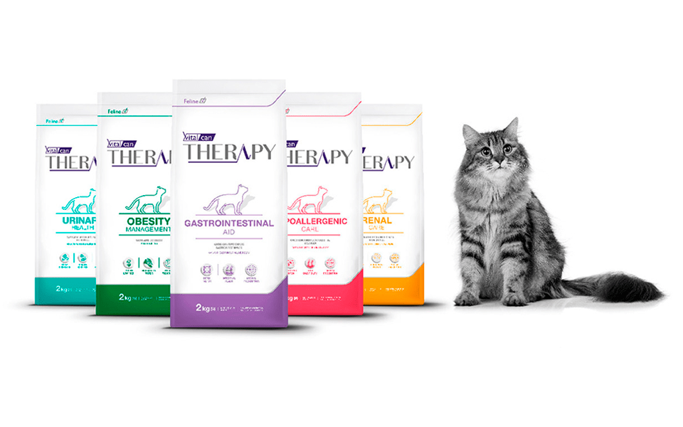 Portal Veterinario - Vitalcan Therapy Gatos