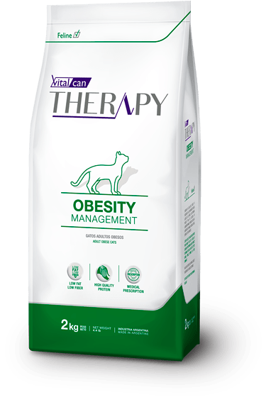 Vitalcan Therapy Gatos Obesity