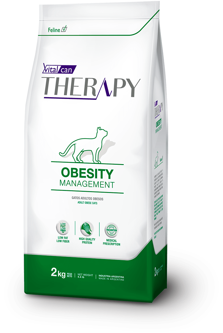 Vitalcan Therapy Gatos Obesity Vitalcan Therapy Gatos Obesity
