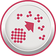Hydrolized protein