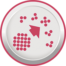 Hydrolized protein
