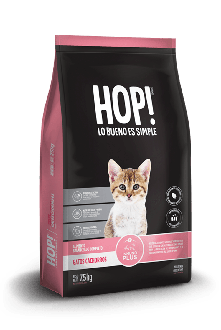 Hop! Gato cachorro Hop! Gato cachorro