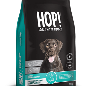 Hop! Perro adulto raza grande