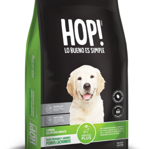 Hop! Perro cachorro raza grande