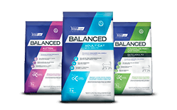 Envase marca Balanced gato
