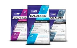 Envase marca Balanced perro