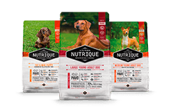 Envase marca Nutrique perro