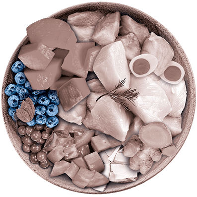 Nutrique - Bowl Gato Ingredientes Arandano