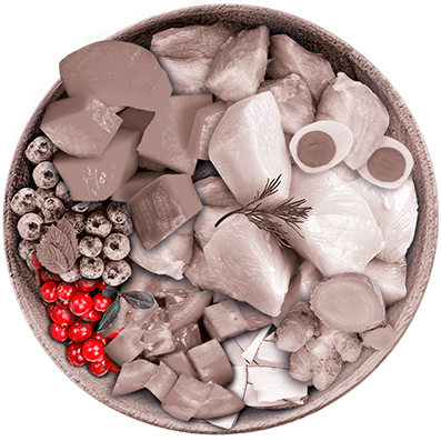 Nutrique - Bowl Gato Ingredientes Arandano