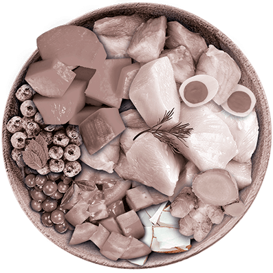 Nutrique - Bowl Gato Ingredientes Blend