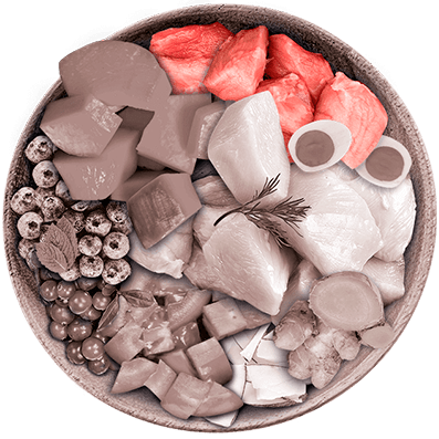 Nutrique - Bowl Gato Ingredientes Cerdo