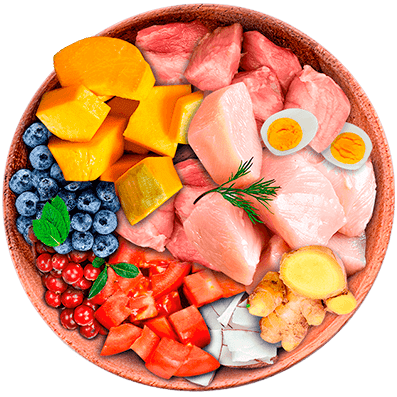 Nutrique - Bowl Gato Ingredientes