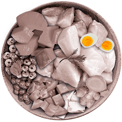 Nutrique - Bowl Gato Ingredientes Huevo
