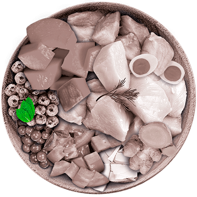Nutrique - Bowl Gato Ingredientes Menta