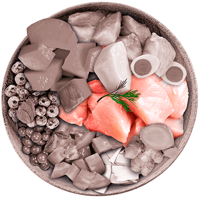 Nutrique - Bowl Gato Ingredientes Pavo