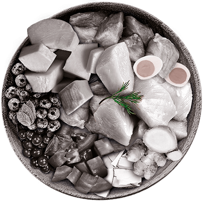Nutrique - Bowl Gato Ingredientes Romero