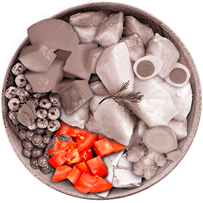 Nutrique - Bowl Gato Ingredientes Tomate
