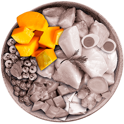 Nutrique - Bowl Gato Ingredientes Zapallo