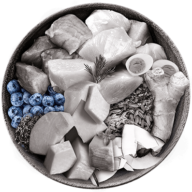 Nutrique bowl ingredientes Arándanos azules