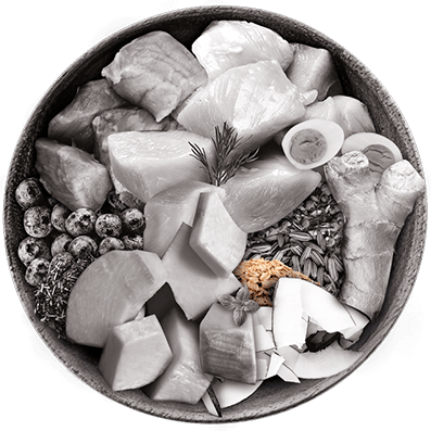 Nutrique bowl ingredientes arroz