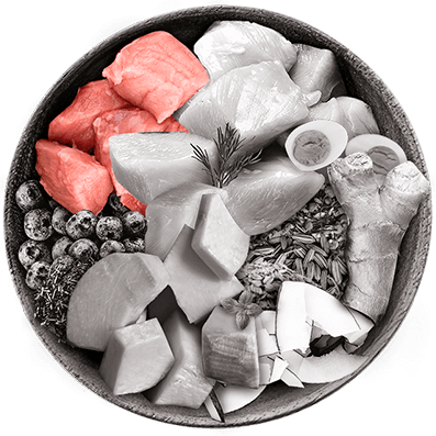 Nutrique bowl ingredientes cerdo