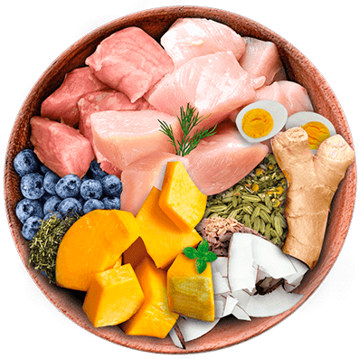 Nutrique bowl ingredientes probioticos