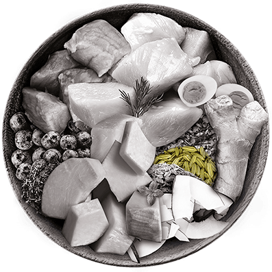 Nutrique bowl ingredientes hinojo