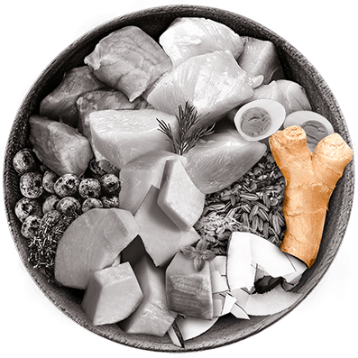 Nutrique bowl ingredientes jengibre