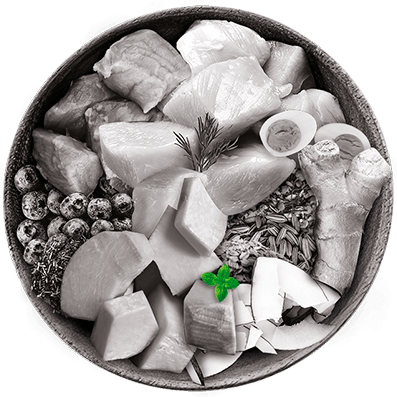 Nutrique bowl ingredientes menta