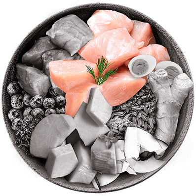 Nutrique bowl ingredientes pavo