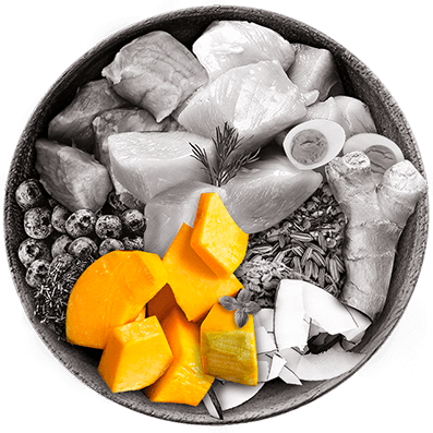 Nutrique bowl ingredientes zapallo