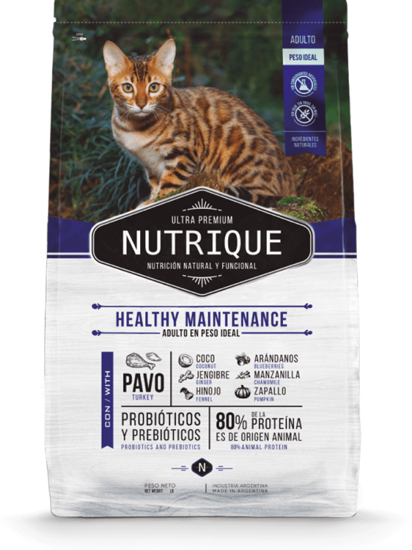 Nutrique Gato - Envase - Healthy Maintenance