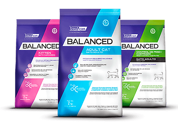 Envases categorias marcas Balanced gato