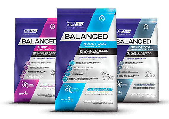 Envases categorias marcas Balanced Perro