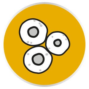 Protección