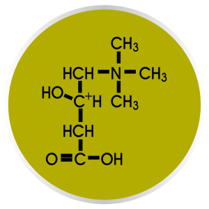 L-Carnitina