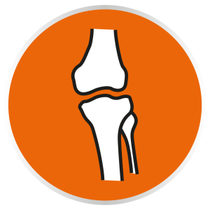 Desarrollo y protección osteoarticular
