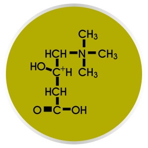 L-Carnitina