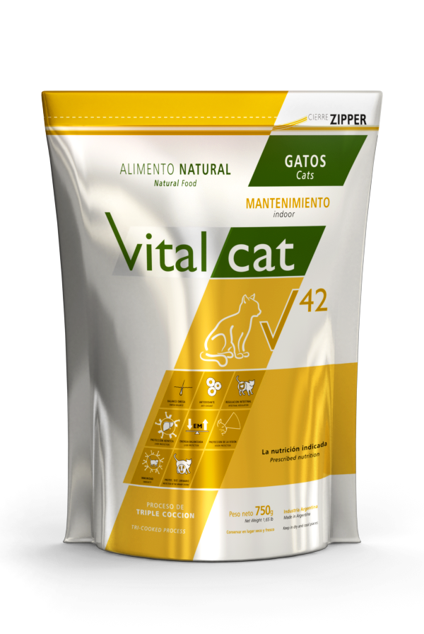 lineaV-v42-gatos