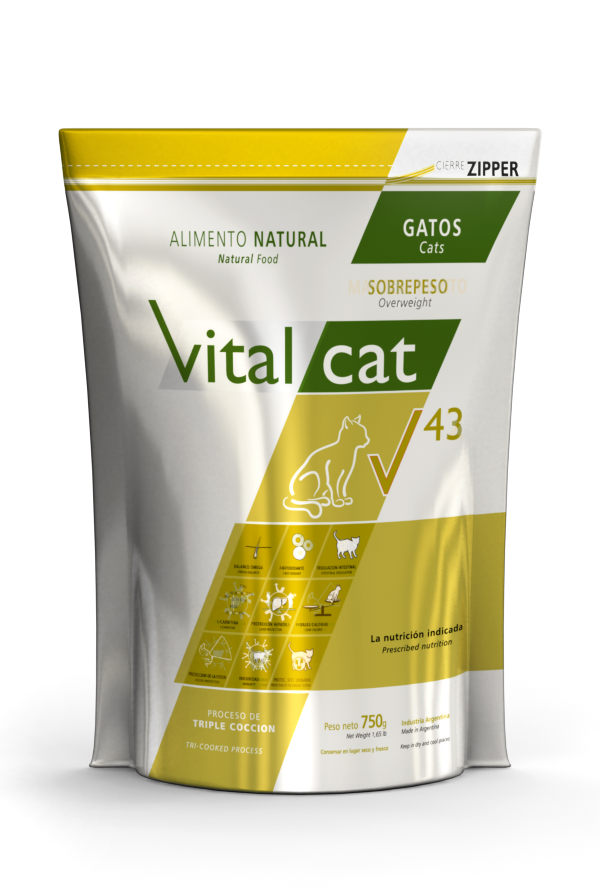 lineaV-v43-gatos